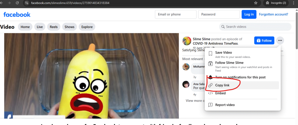 Facebook video copy url
