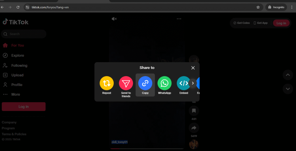 tiktok video url